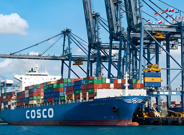 警惕！5H查验范围再升级，全美多港严查加码 